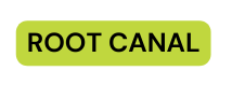 ROOT CANAL